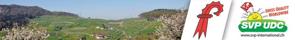 sibylle-escher.udc-international.ch